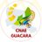 Cnae_Guacara10's profile image