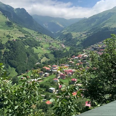 Mon71105300's profile picture. 