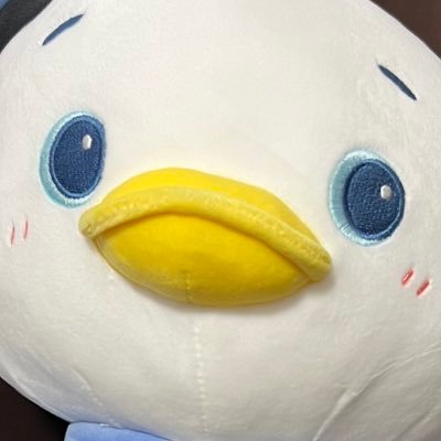 rachi_haa's profile picture. 