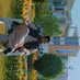 Farhan Shah (@s69521121shah) Twitter profile photo Farhan Shah (@s69521121shah) Twitter profile photo