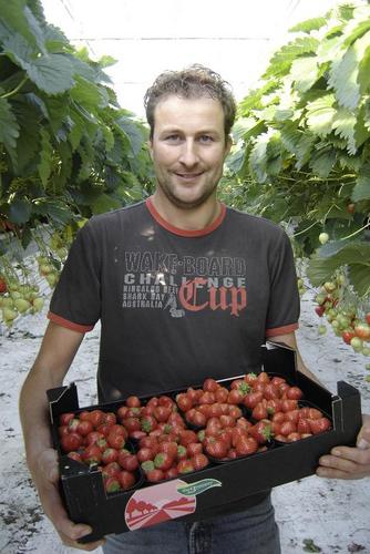 Eigenaar Bouten Aardbeien B.V./Peelberries B.V. 3 zonen Rick,Thom en Bram. Smaak-aardbeienteler uit Meijel(Limburg), innovatieve teelten en rassen