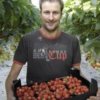 Patrick Bouten (@tastexplosion) 's Twitter Profile