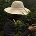 Alex Sorner 🍁 (@greenculturemed) Twitter profile photo Alex Sorner 🍁 (@greenculturemed) Twitter profile photo