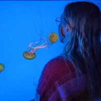 Michelle (@burp_frog) 's Twitter Profile