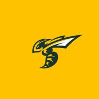 Fayetteville Stingers(@StingersTBL) 's Twitter Profile Photo