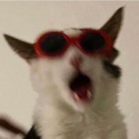 bia supertramp quer ser r1 (@supertrampbae) 's Twitter Profile