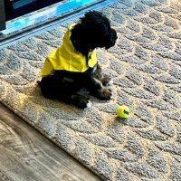 AyV (@ayv_uy) 's Twitter Profile