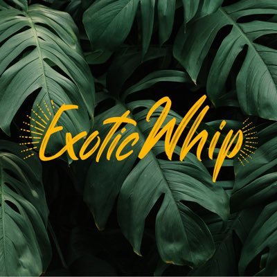 Explore Your Creativity: https://t.co/UiptZ6GViD