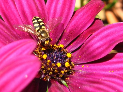 Wir treten für eine nachhaltige, ressourcenschonende Lebensweise ein. #Natur, #Umwelt und #Tiere liegen uns am Herzen. Für sie machen wir uns stark.