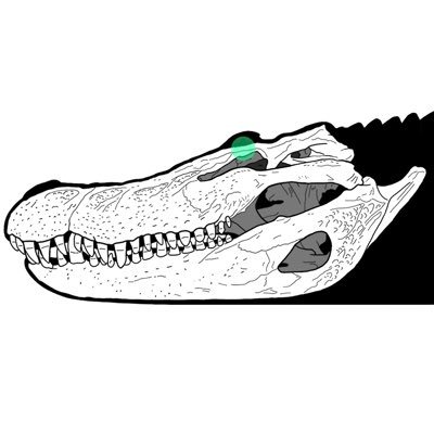 Metasuchus (メタスクス)さんのプロフィール画像