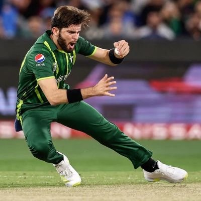 A Weirdo But I Am Real Though!|
Botánico Para Ser 👩🌾 🌴|
Cricket 🏏|
Love Reading📖|
Tea 🍵 And Hope Addicted|
Die Hard Fan Of @TeamQuetta ⚔