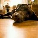 michael mckethan - @michaelmckethan - Twitter