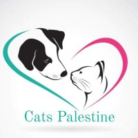 Cats Palestine 🇵🇸(@wdmr28280815) 's Twitter Profile Photo