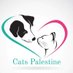 Cats Palestine 🇵🇸 (@wdmr28280815) Twitter profile photo Cats Palestine 🇵🇸 (@wdmr28280815) Twitter profile photo