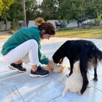 Pankek (@pankilott) Twitter profile photo