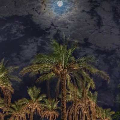 jomh4504's profile picture. .