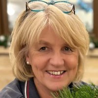 Sue Millward 💙 😷 (@suemillward1) 's Twitter Profile