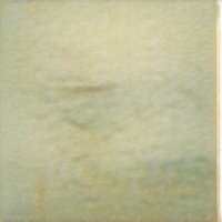 Sharon Cole (@sharonc33762000) 's Twitter Profile