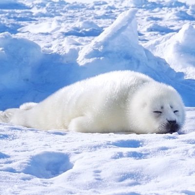 murasakiiii228's profile picture. 旧名のざらし。noteにてテキスト投稿・RPGや娯楽系映画等の趣味語り・文章創作を行っています。 noteの記事宣伝や趣味に関するつぶやきをします。カクヨムにも出張中。