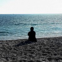 🌹 🕊️ (@bir_p_e_r_i) 's Twitter Profile Photo