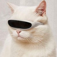 Sluggish Cheetah (@sluggishcheetah) 's Twitter Profile Photo Sluggish Cheetah (@sluggishcheetah) 's Twitter Profile Photo