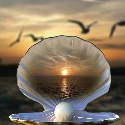 zohiraarab2's profile picture. إذا كانت بصمة إصبعكـ تميز هويتكـ الشخصية عن الآخرين  فبصمة لسانكـ تميزكـ في قلوب البشر فاجعلها بصمة مميزة ...⛔ No groups,no list