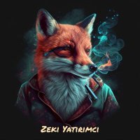 Zeki Yatırımcı 💸🫰🏻(@zekiyatirimci) 's Twitter Profile Photo