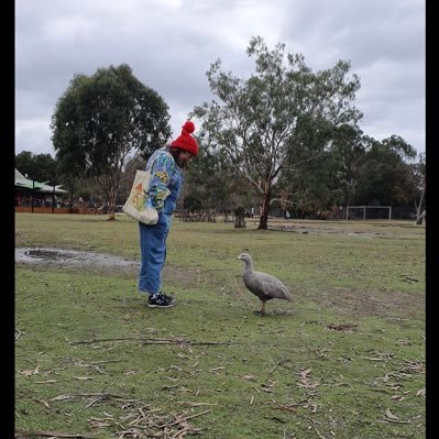 tarabateman21's profile picture. what I do when I should be writing - aspiring to one day be a published author #AusWrites #amwriting