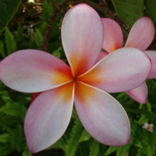 tephvillalpando's profile picture. 