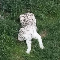 Edward Manning (@mush931) 's Twitter Profile Photo Edward Manning (@mush931) 's Twitter Profile Photo
