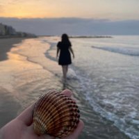 seham (@enchantedher) 's Twitter Profile Photo