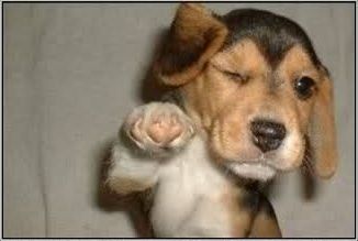 tcmeuk's profile picture. 