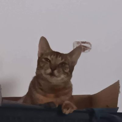 yayayeaaa's profile picture. 