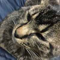 尚 (@jnao_mkuma) 's Twitter Profile