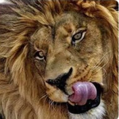 WAbbas67291957's profile picture. #bitcoin

🎲