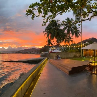 MatkaMisu's profile picture. 