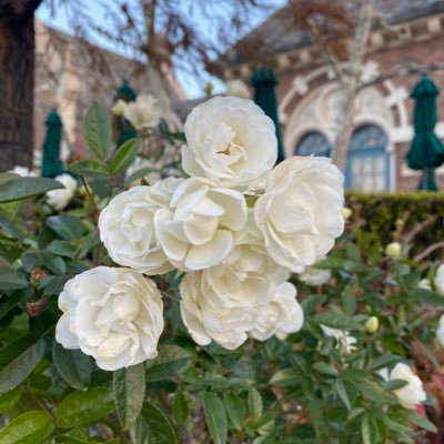 RIEloveTIM's profile picture. 日常と観劇ツイート用の予定😌手帳が埋まってないと予定入れたくなる人なんで、忙しく生きてます😉