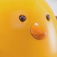 CHKN DRUM (@chkndrum) 's Twitter Profile