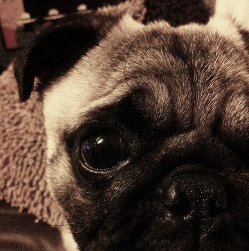 GhostChups's profile picture. ive been internalising a really complicated situation in my head