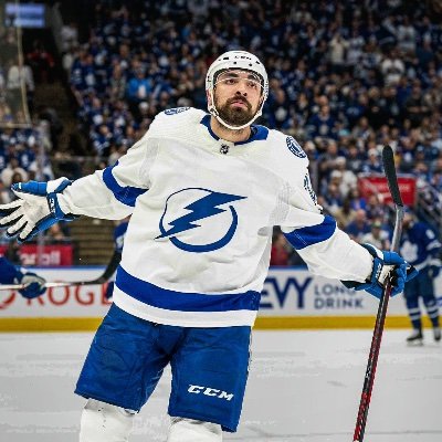 BoltsJoshua's profile picture. Lightning fan. And from Friday to Sunday a Mclaren F1, FSU fan