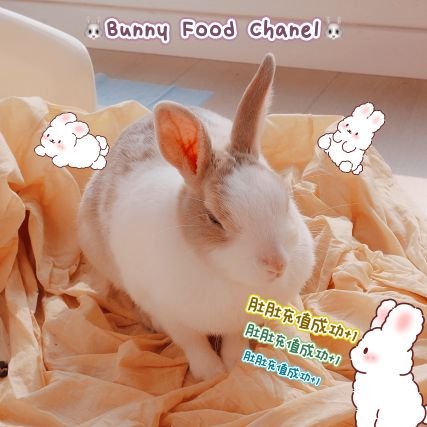 Chunyi GCYWさんのプロフィール画像