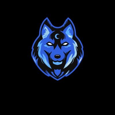 6packwolf's profile picture. Hello fellow streamers, and viewers. I'm 6 Pack Wolf.  A variety part-time streamer from NY, here to showcase games and entertain.