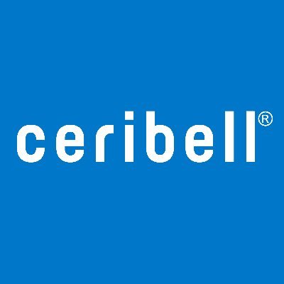 Ceribell Point-of-Care EEG brain monitoring for seizure triage and treatment optimization