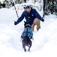 . (@jcarson10) 's Twitter Profile