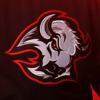 philipmarra3's profile picture. #sabrehood #GoPackGo