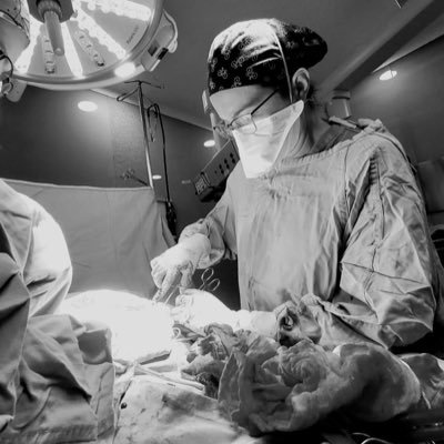 Ginecología y Obstetricia Biología de la Reproducción humana 👩🏼⚕️