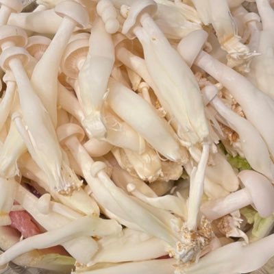 nanimono543's profile picture. 何者にもなれなかった奴