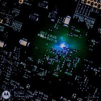lostleolotus (@573glenn_m) 's Twitter Profile