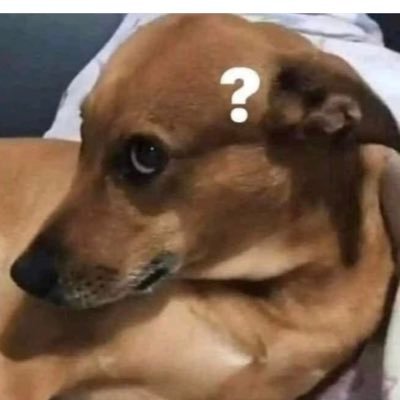 al igual q en mi TikTok no esperes encontrar nada aquí