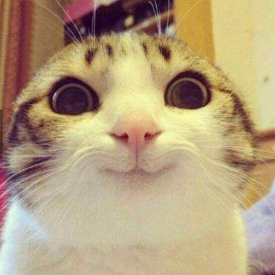 JohnLovesNFTs's profile picture. Crypto, NFTs & Games